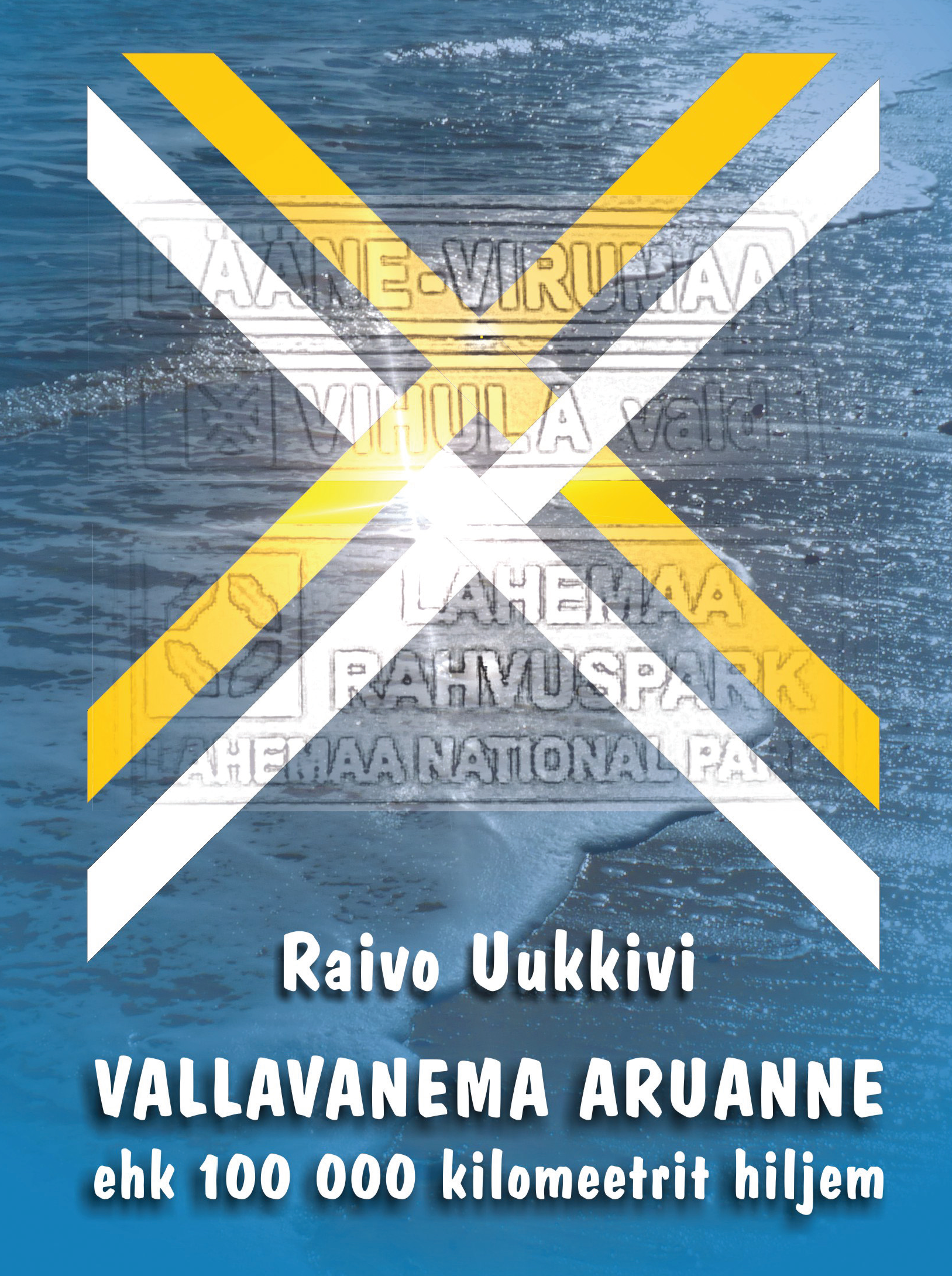 Vallavanema aruanne 100000